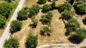 Detached 3 Home with Generous Grounds Near the Coast in Roda (7)