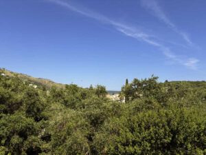 IMG 7850
