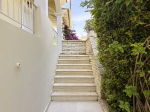 IMG 7877