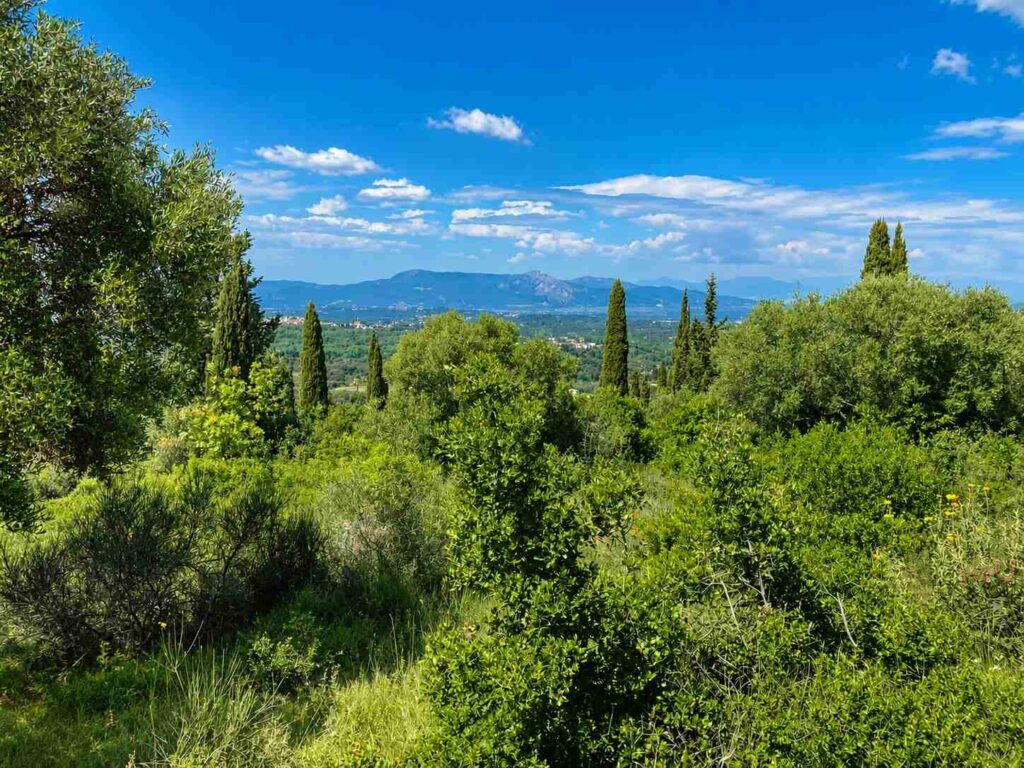 Licensed Sea View Plot Near Agios Gordios (6)