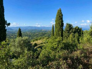 Licensed Sea View Plot Near Agios Gordios (7)