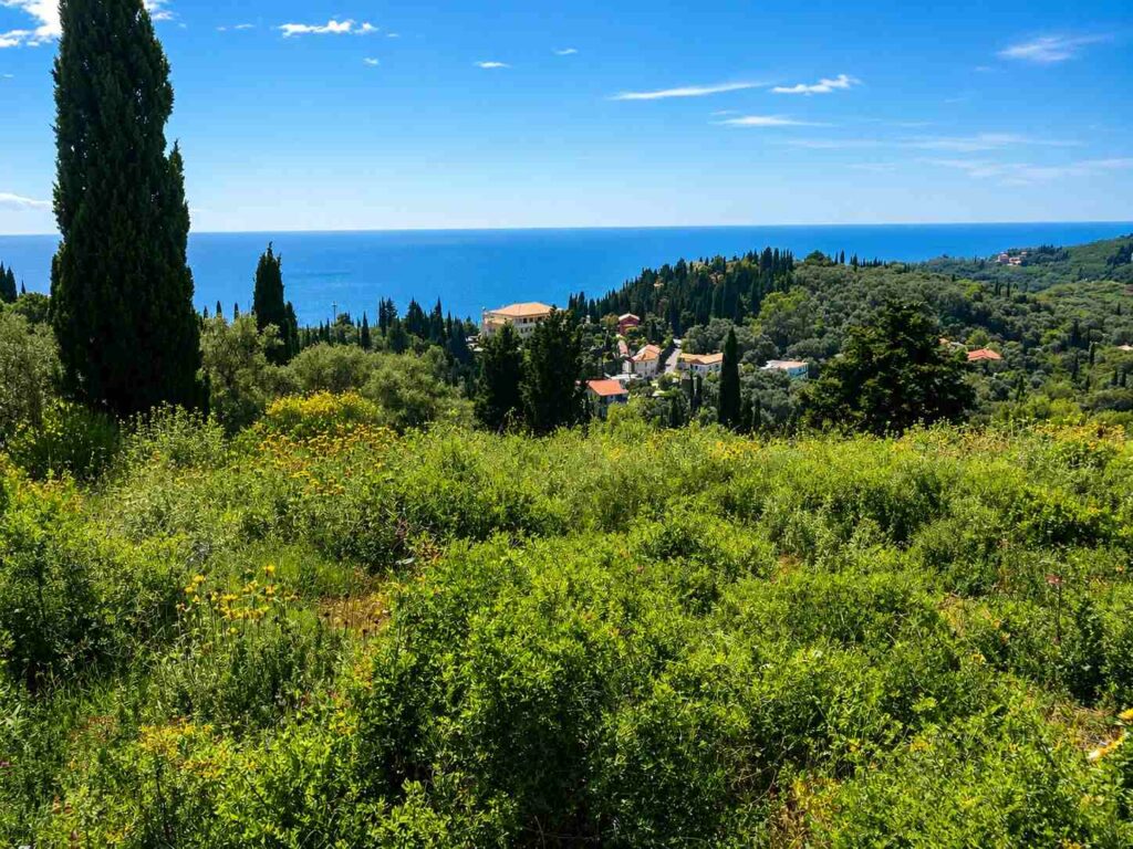 Licensed Sea View Plot Near Agios Gordios (9)