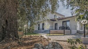 Modern 4 Bedroom Villa with Landscaped Gardens in Temploni, Corfu (6)