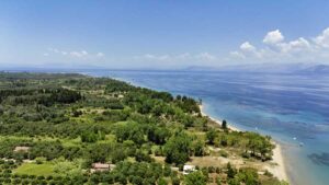 Private 4 Bedroom Villa on a 3,876 m² Estate in Peaceful Lefkimmi (4)