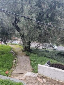 Three Building Property for Sale in Sinies, Kassiopi, Northeast Corfu 175m² with Sea Views (3)