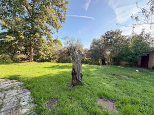 Villa next to dielas no pool (6)