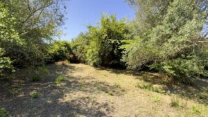 4 Bedroom Villa with Private Pool and Large Plot Near Chalikounas, South Corfu (22)