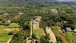 4 Bedroom Villa with Private Pool and Large Plot Near Chalikounas, South Corfu (8)