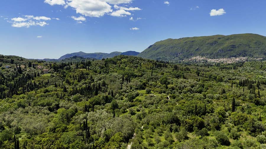 Listing photograph 10 of 14 of the land in Ipsos, published by Chase Real Estate Corfu.