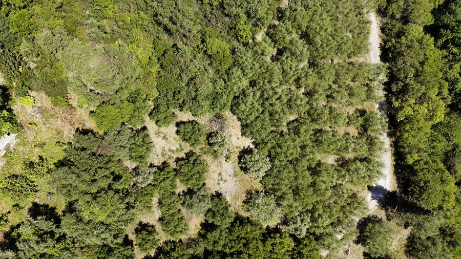Listing photograph 5 of 14 of the land in Ipsos, published by Chase Real Estate Corfu.