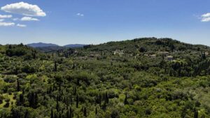 4,300 m² Development Plot in Laskaratika, Near Ipsos (1)