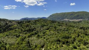 4,300 m² Development Plot in Laskaratika, Near Ipsos (16)