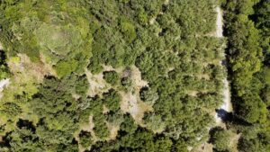 4,300 m² Development Plot in Laskaratika, Near Ipsos (5)