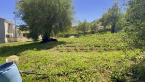 90 m² House on 5,000 m² Village Land in Laskaratika, Close to Ipsos (10)