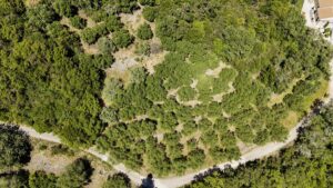 90 m² House on 5,000 m² Village Land in Laskaratika, Close to Ipsos (15)