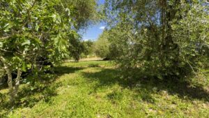 90 m² House on 5,000 m² Village Land in Laskaratika, Close to Ipsos (8)