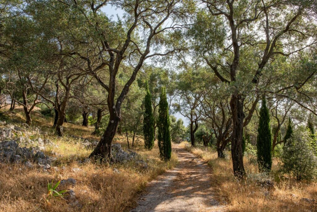 Exclusive Corfiot Estate with Panoramic Sea Views and Private Beach Access (11)