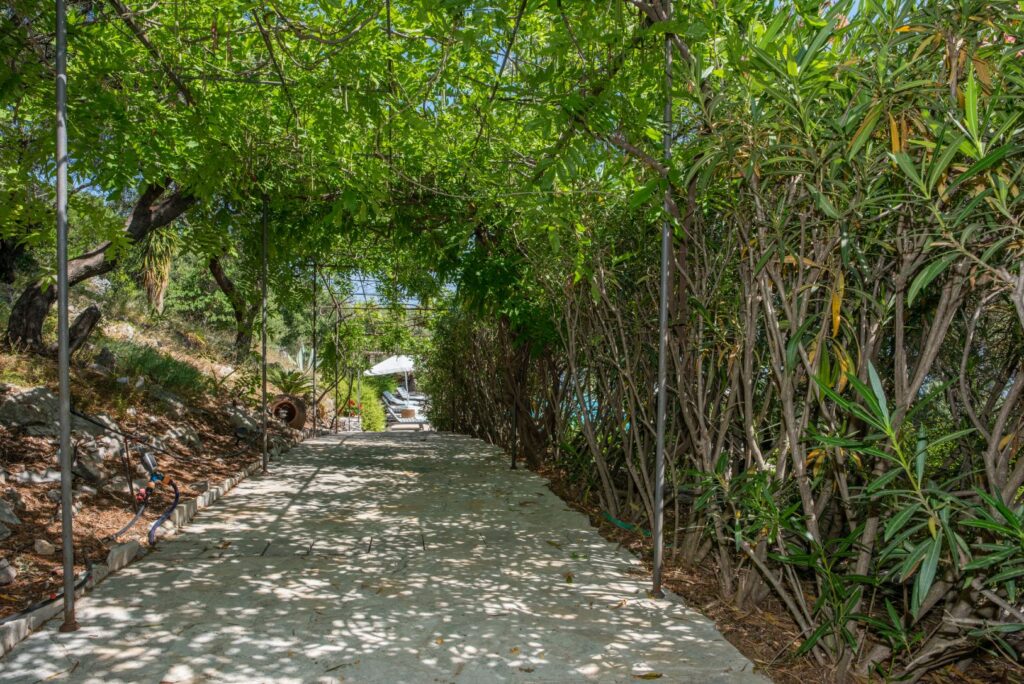 Exclusive Corfiot Estate with Panoramic Sea Views and Private Beach Access (35)