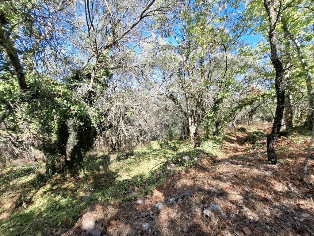 Hillside Plot with 186m² Buildability in Sinies (6)