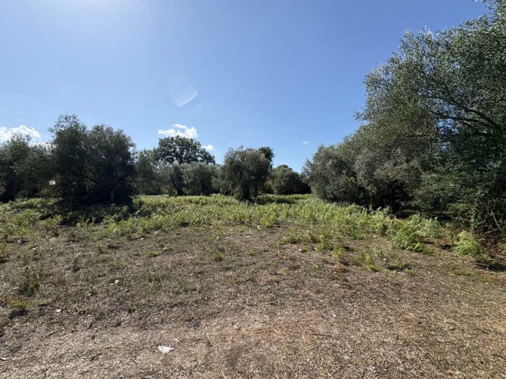 Investment Opportunity in Roda’s Touristic Area (4)