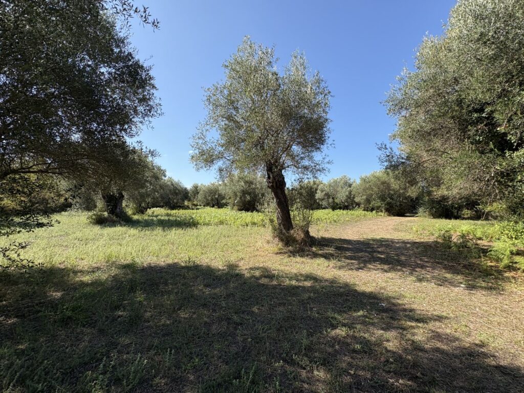 Investment Opportunity in Roda’s Touristic Area (6)