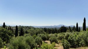 Spacious Country Estate with Two Detached Homes on 8,000 m² of Private Land (15)