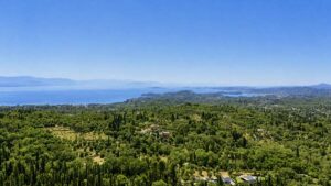 Spacious Country Estate with Two Detached Homes on 8,000 m² of Private Land (30)