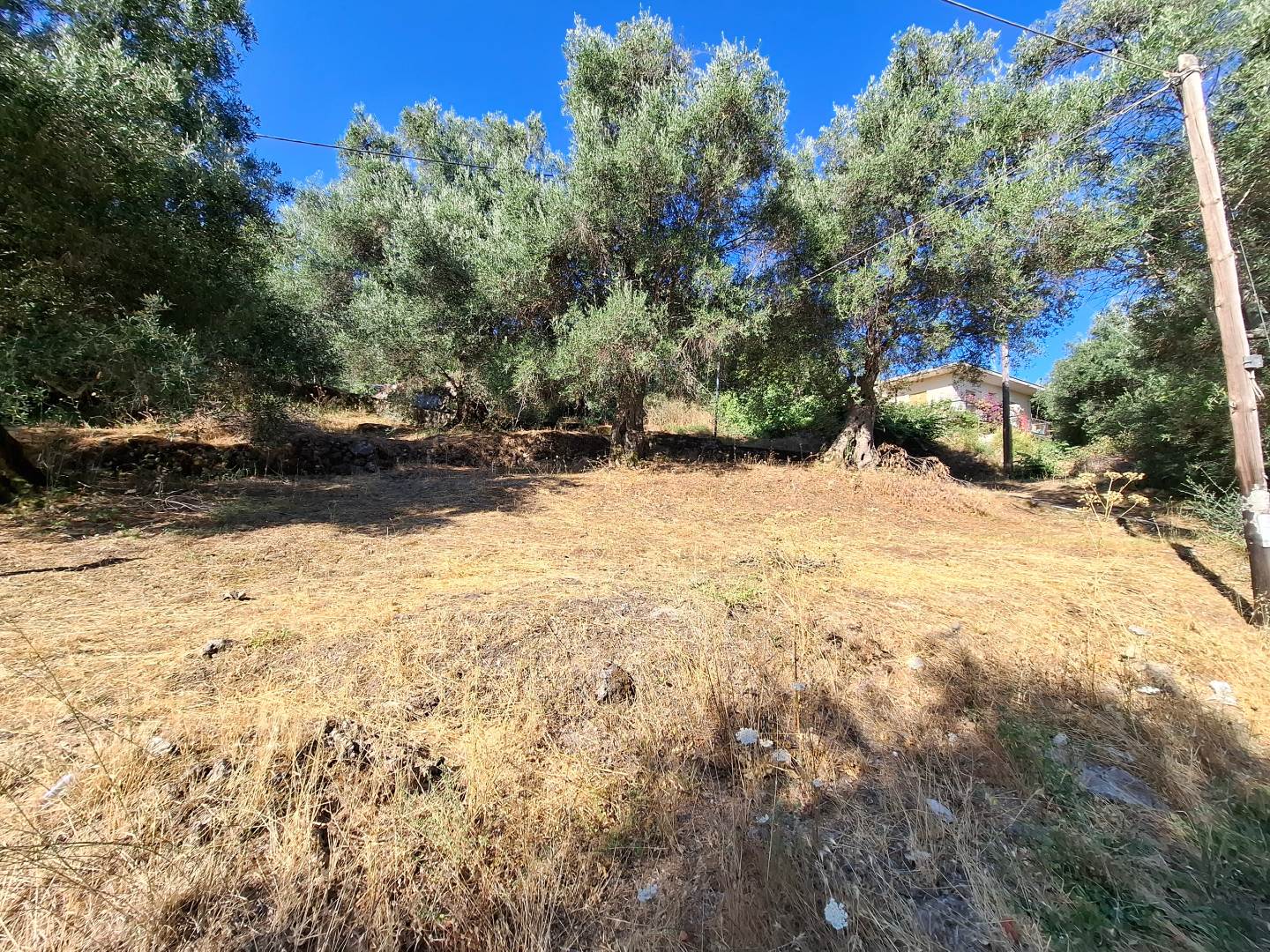 Listing photograph 2 of 5 of the land in Agios Vasilios, published by Chase Real Estate Corfu.