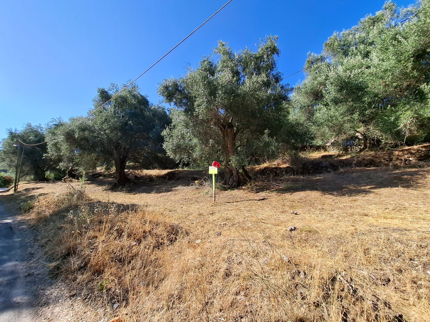 Listing photograph 3 of 5 of the land in Agios Vasilios, published by Chase Real Estate Corfu.