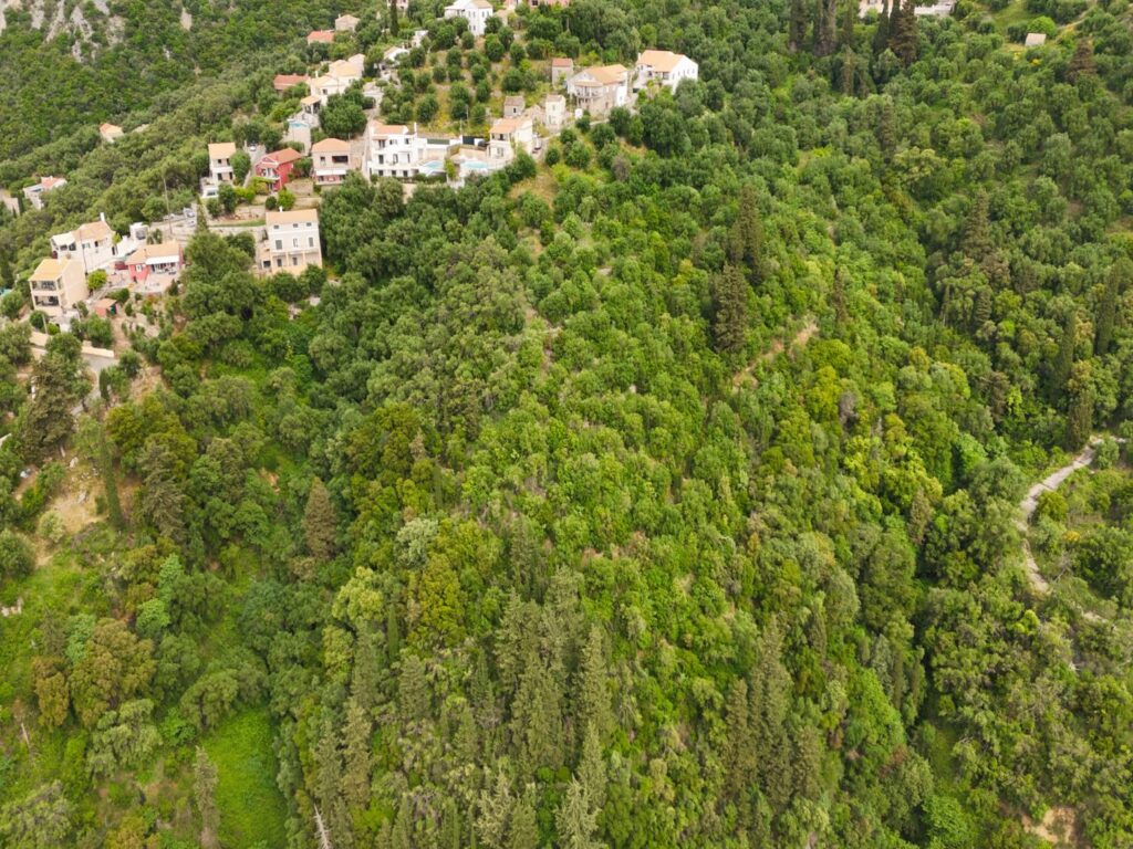 5,000 m² Sea View Building Plot with Permission for Two Villas in Viglatouri, North East Corfu (10)