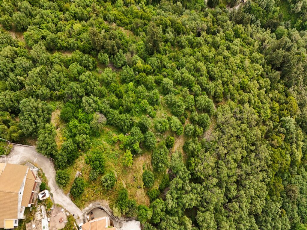 5,000 m² Sea View Building Plot with Permission for Two Villas in Viglatouri, North East Corfu (3)