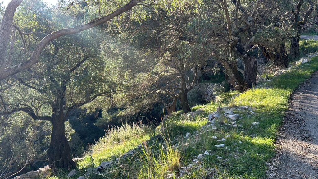 5,300m² Buildable Plot with Uninterrupted Sea Views €380,000 (2)
