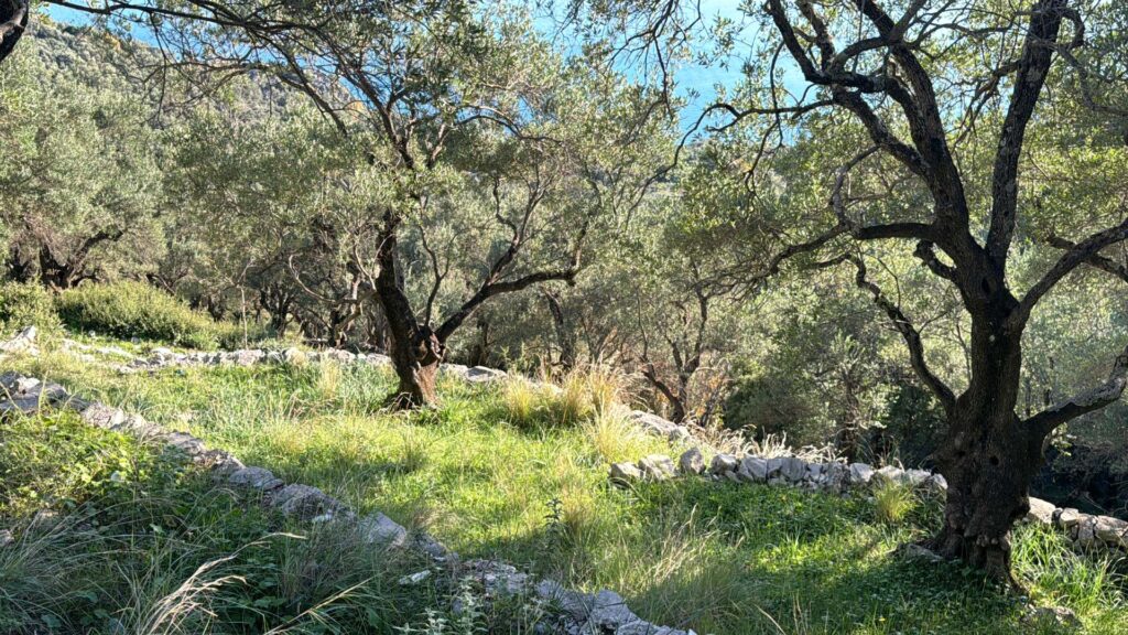 5,300m² Buildable Plot with Uninterrupted Sea Views €380,000 (3)