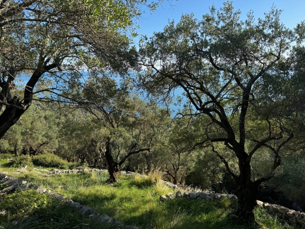 5,300m² Buildable Plot with Uninterrupted Sea Views €380,000 (4)