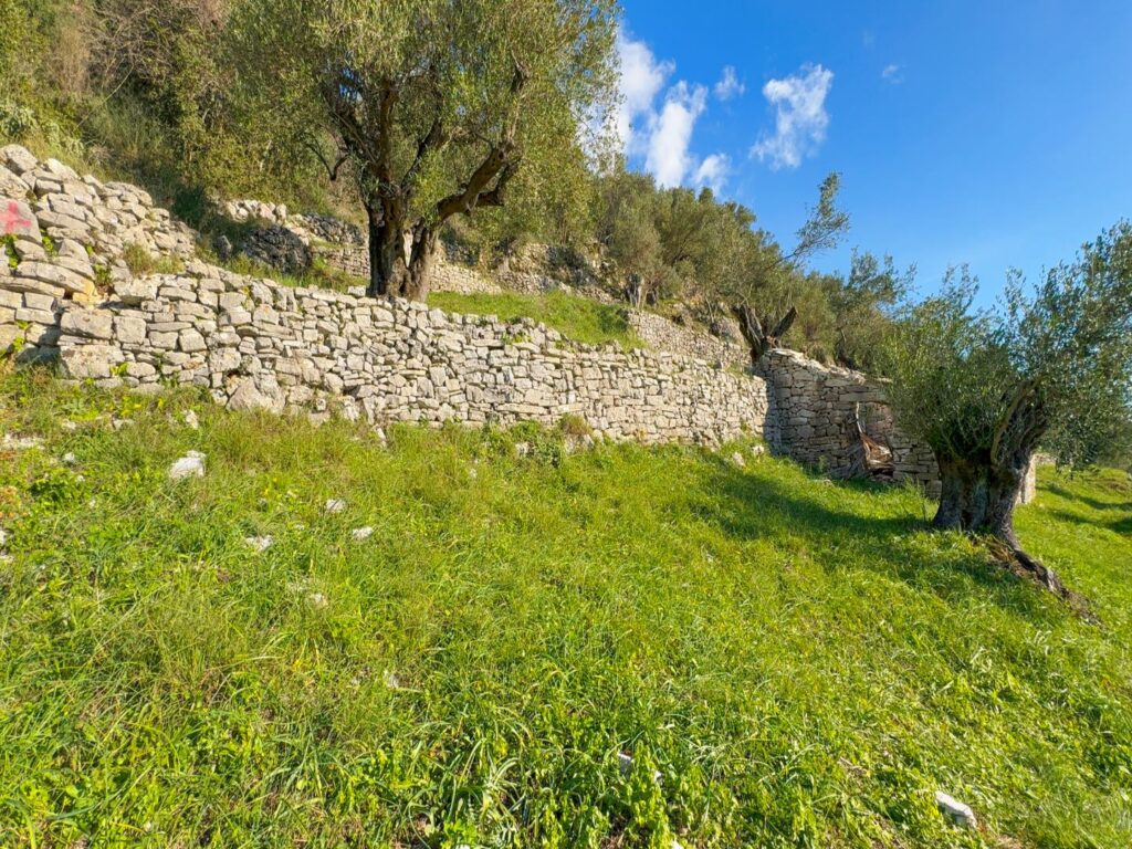Buildable 4,000 m² Plot near Nissaki Beach, North East Corfu (8)