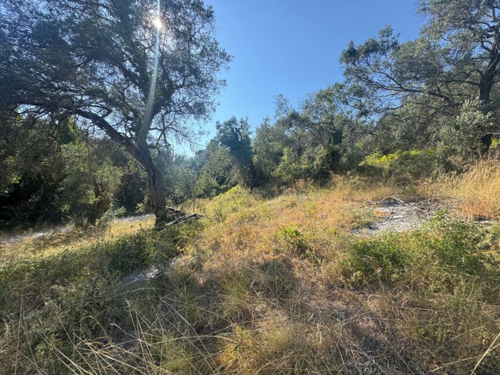 Buildable 4,000 m² Plot with Main Road Access in Analipsi, Corfu (2)