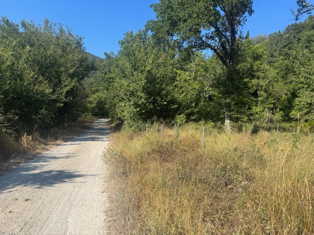 Buildable 4,000 m² Plot with Main Road Access in Analipsi, Corfu (4)