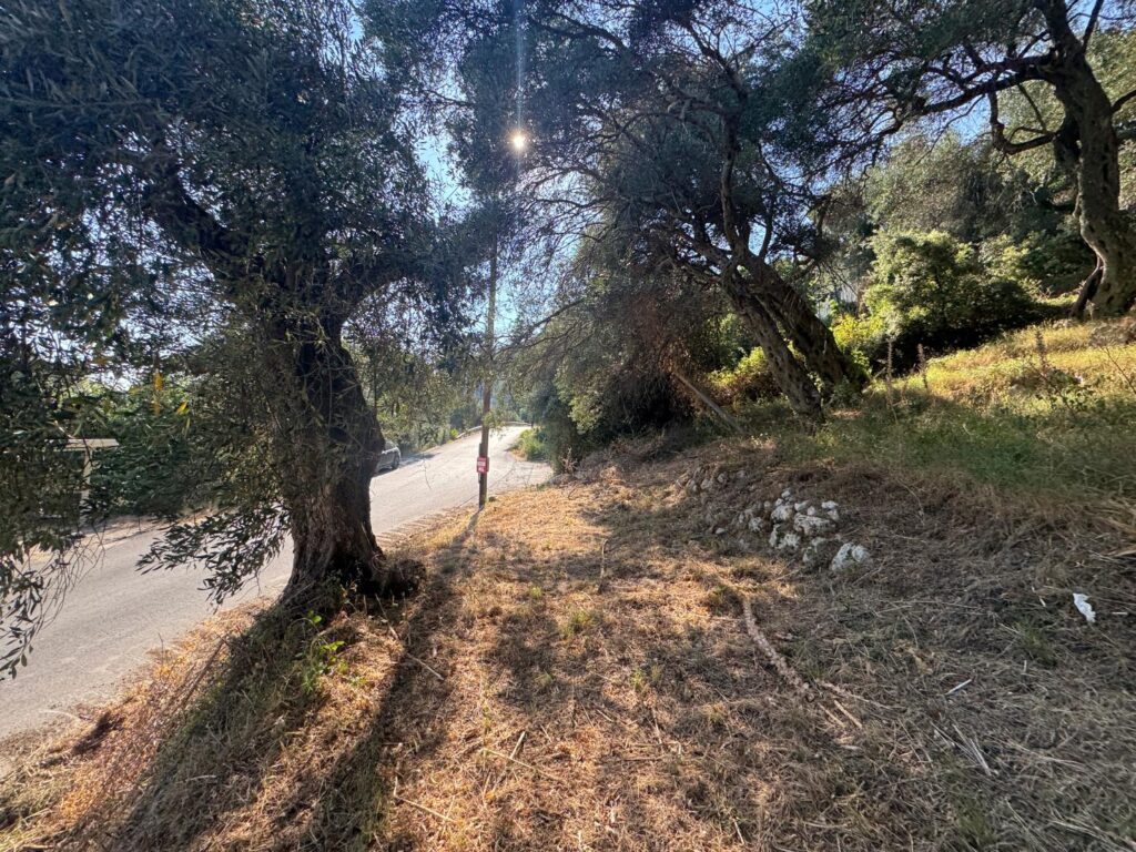 Buildable 4,000 m² Plot with Main Road Access in Analipsi, Corfu (5)