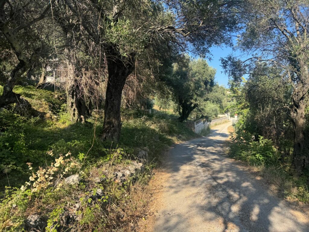 Buildable 4,000 m² Plot with Main Road Access in Analipsi, Corfu (6)