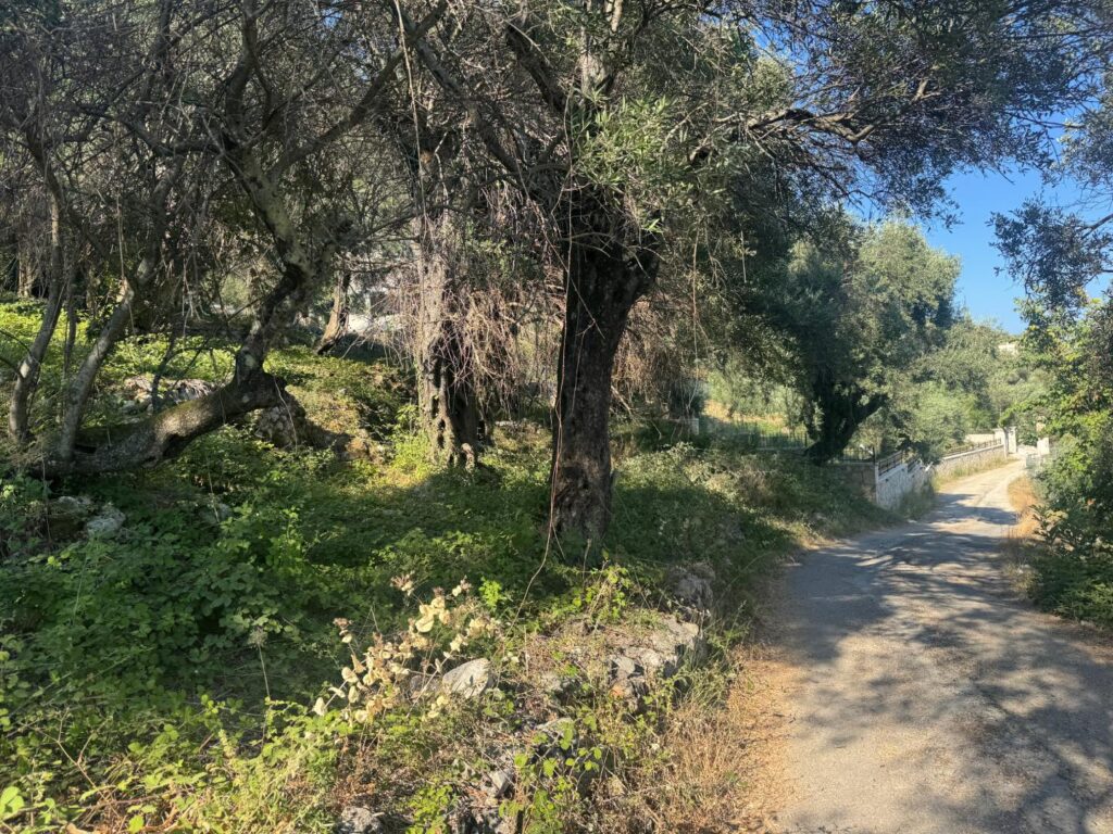 Buildable 4,000 m² Plot with Main Road Access in Analipsi, Corfu (7)