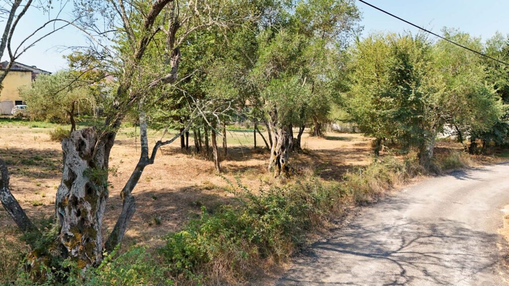 Buildable 810 m² Plot with Up to 400 m² Development Potential in Danilia, Corfu (7)