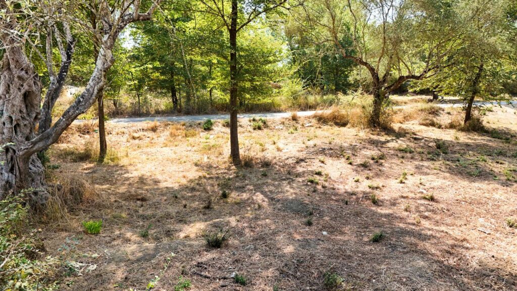 Buildable 810 m² Plot with Up to 400 m² Development Potential in Danilia, Corfu (9)
