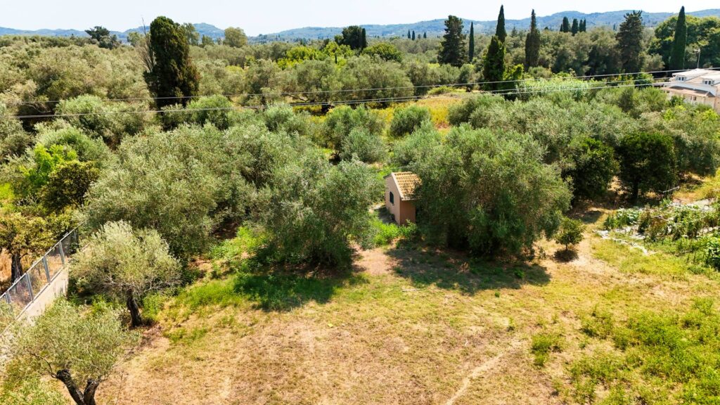 Buildable Plot with Utilities and Bore Water in Anaplades, South Corfu €150,000 (5)