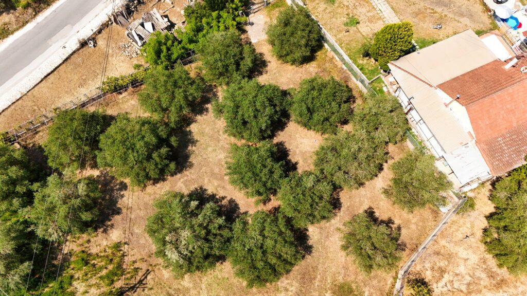 Buildable Plot with Utilities and Bore Water in Anaplades, South Corfu €150,000 (6)