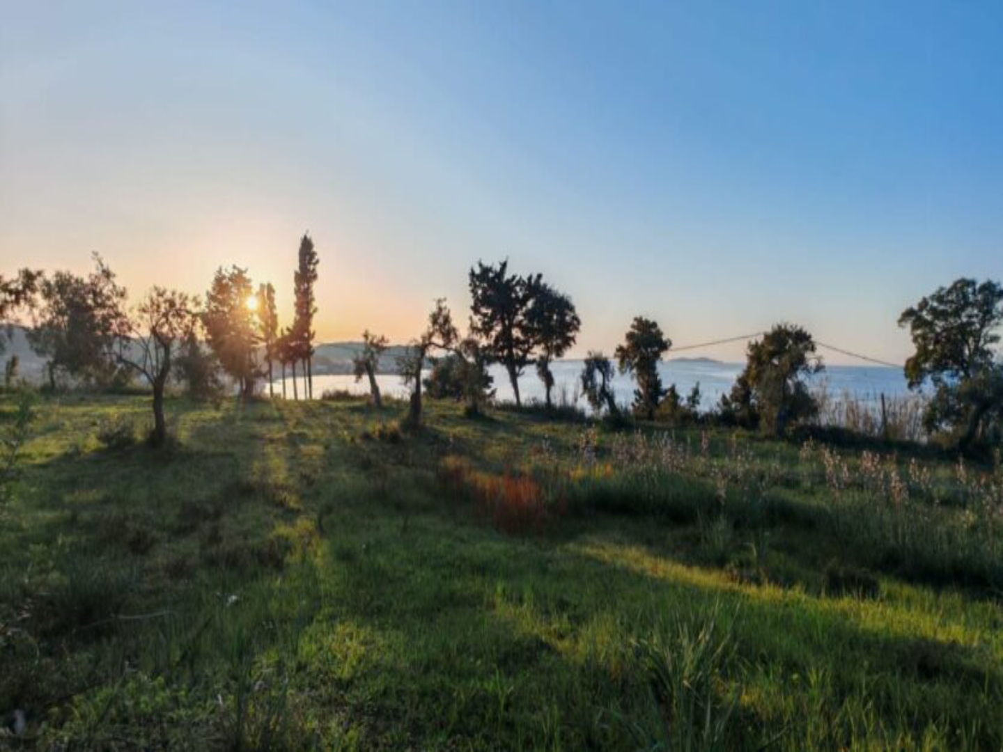 Listing photograph 1 of 3 of the land in Karousades, published by Chase Real Estate Corfu.