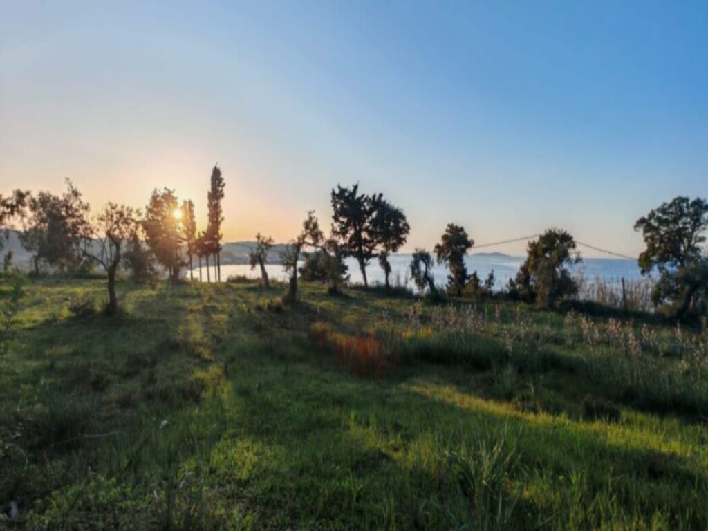 Licensed 4,700 m² Development Plot for Three Villas with Pools in Karousades, North Corfu (3)