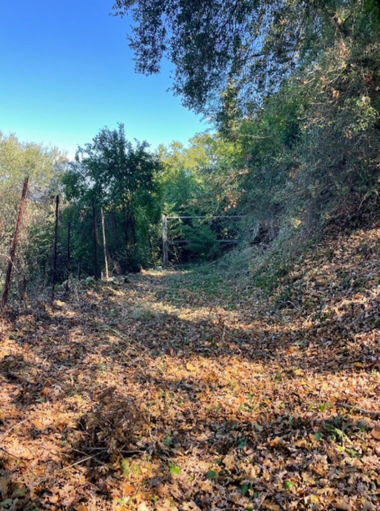 Licensed Development Plot with Approved Villa Project in Giannades, Corfu €299,000 (2)