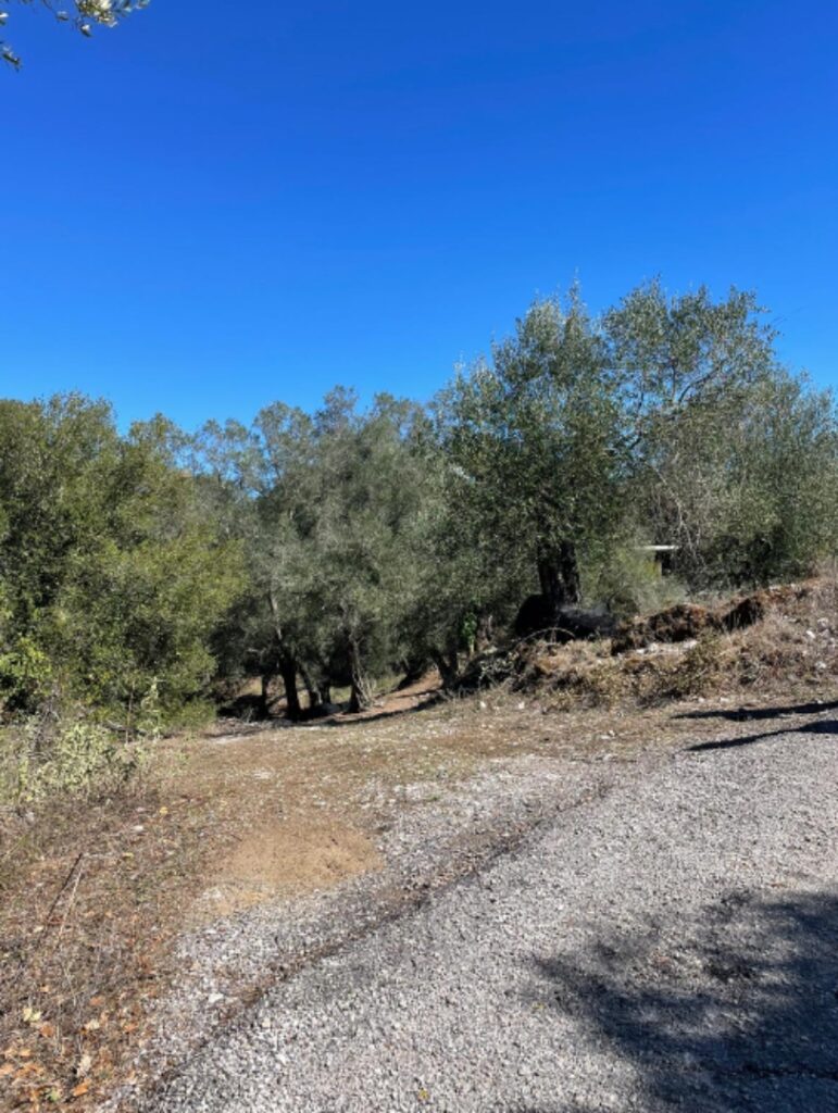 Licensed Development Plot with Approved Villa Project in Giannades, Corfu €299,000 (3)