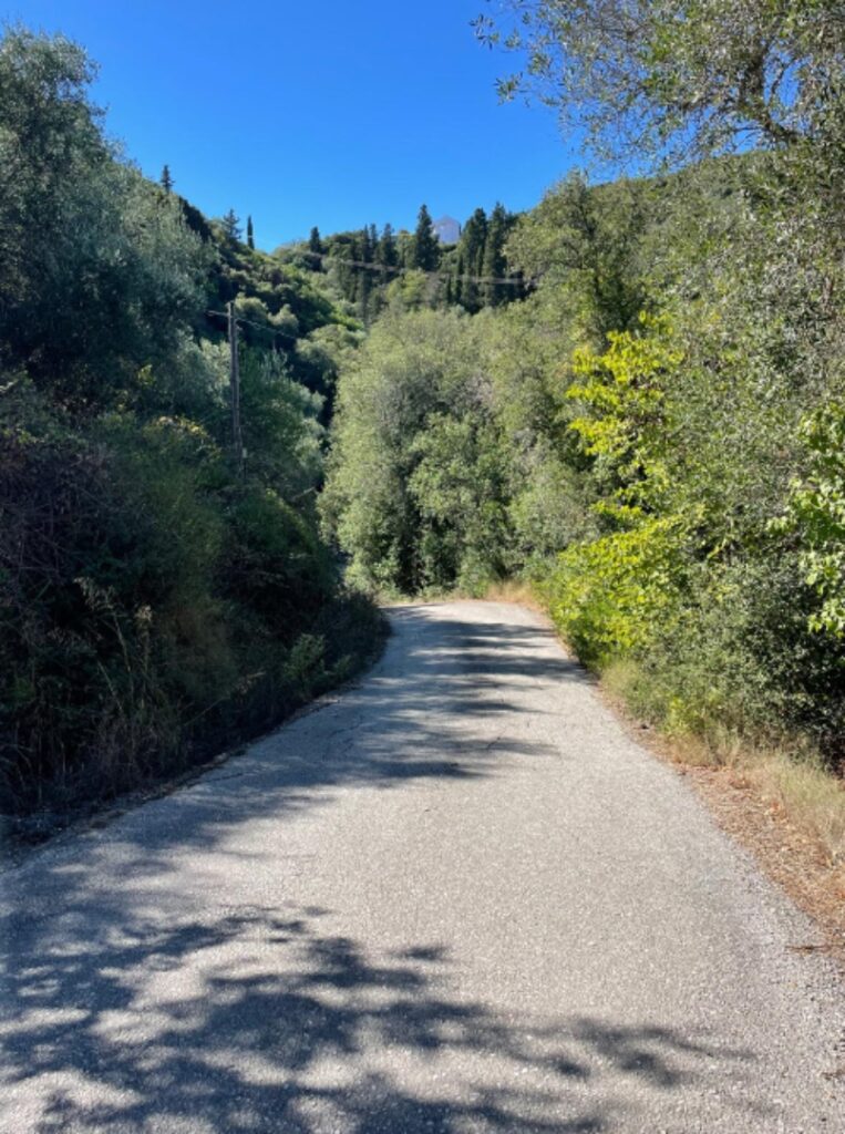 Licensed Development Plot with Approved Villa Project in Giannades, Corfu €299,000 (4)