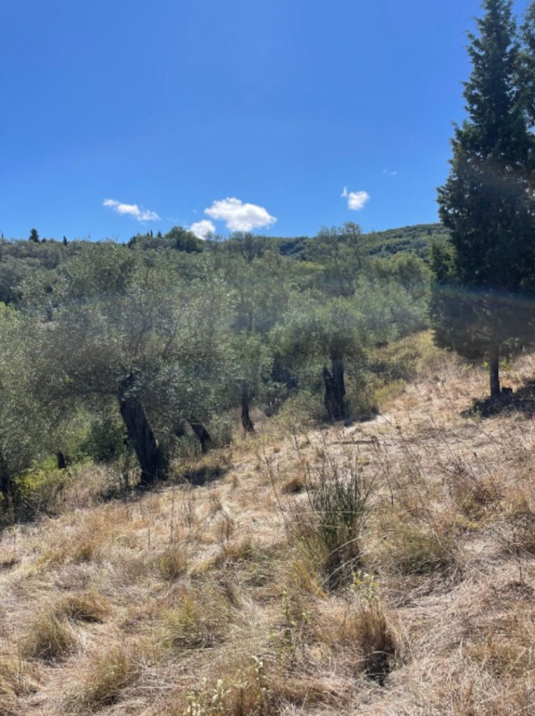 Licensed Development Plot with Approved Villa Project in Giannades, Corfu €299,000 (5)